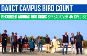 DAIICT Campus Bird Count
